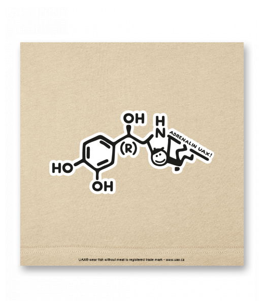 OBRAZ DO INTERIÉRU 110x110cm