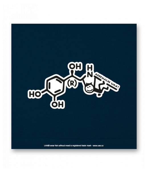 OBRAZ DO INTERIÉRU 110x110cm