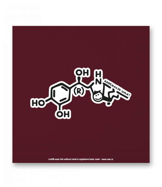 OBRAZ DO INTERIÉRU 110x110cm