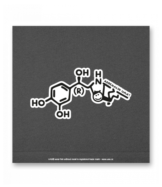 OBRAZ DO INTERIÉRU 110x110cm