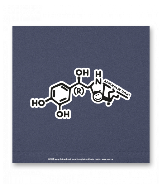 OBRAZ DO INTERIÉRU 110x110cm