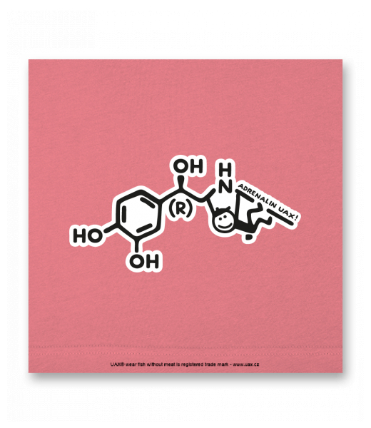 OBRAZ DO INTERIÉRU 110x110cm