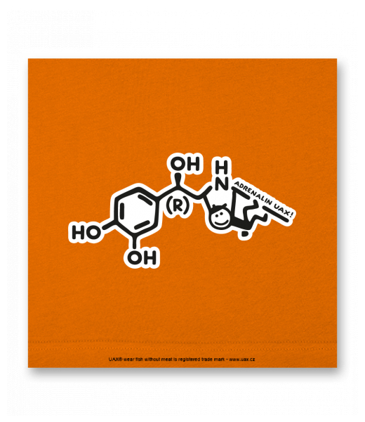 OBRAZ DO INTERIÉRU 110x110cm