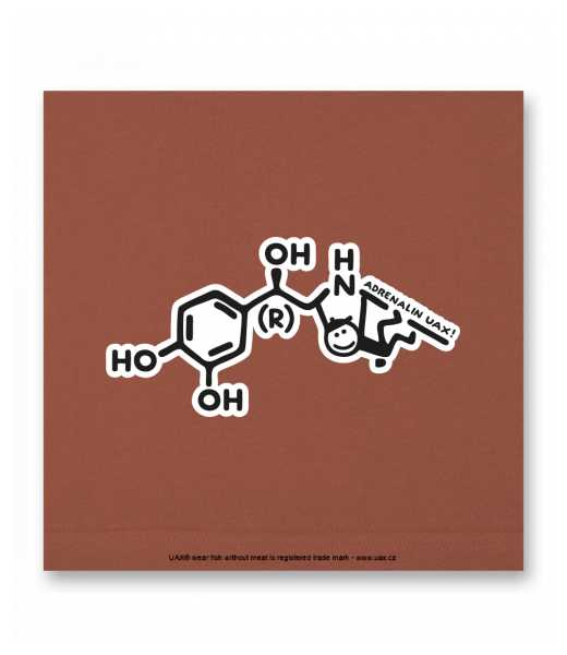 OBRAZ DO INTERIÉRU 110x110cm