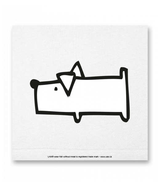 OBRAZ DO INTERIÉRU 110x110cm