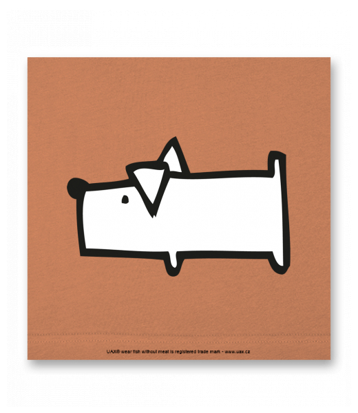 OBRAZ DO INTERIÉRU 110x110cm