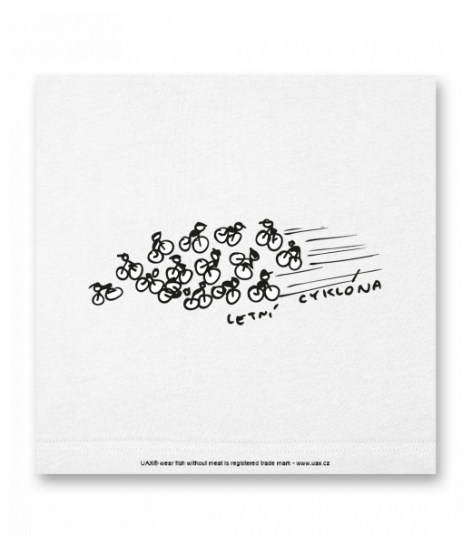 OBRAZ DO INTERIÉRU 110x110cm