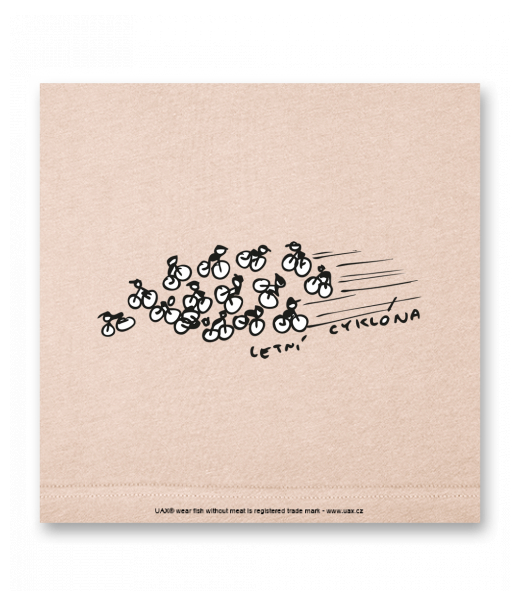 OBRAZ DO INTERIÉRU 110x110cm