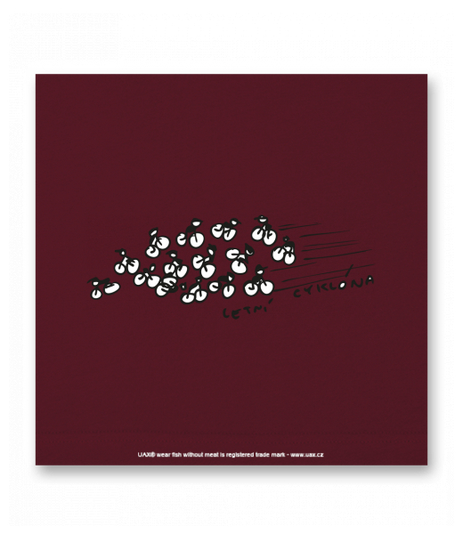 OBRAZ DO INTERIÉRU 110x110cm