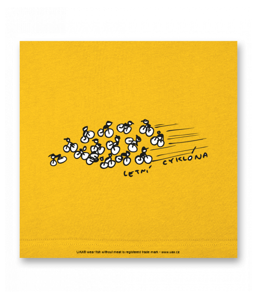 OBRAZ DO INTERIÉRU 110x110cm