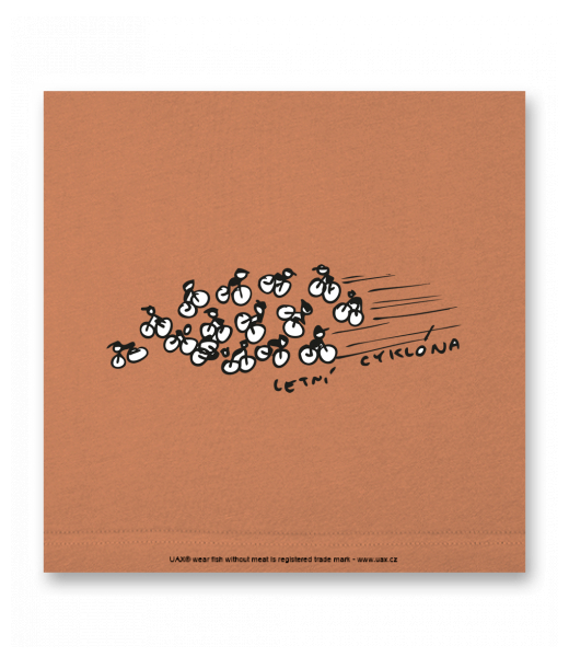 OBRAZ DO INTERIÉRU 110x110cm