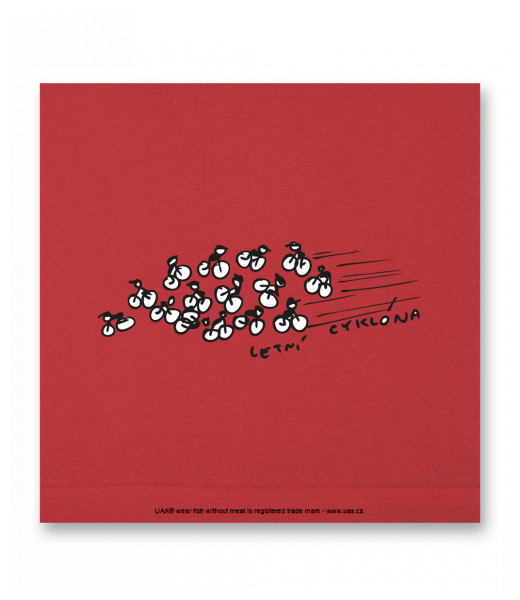 OBRAZ DO INTERIÉRU 110x110cm