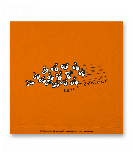 OBRAZ DO INTERIÉRU 110x110cm