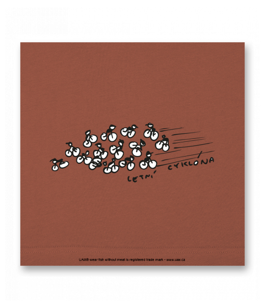 OBRAZ DO INTERIÉRU 110x110cm