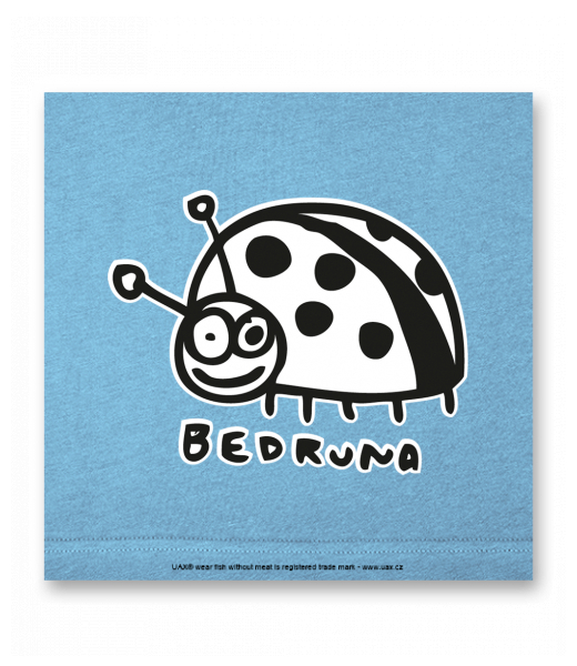 OBRAZ DO INTERIÉRU 110x110cm