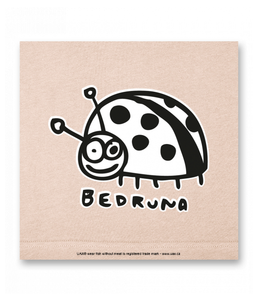 OBRAZ DO INTERIÉRU 110x110cm