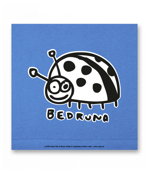 OBRAZ DO INTERIÉRU 110x110cm