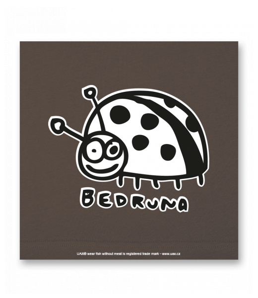 OBRAZ DO INTERIÉRU 110x110cm