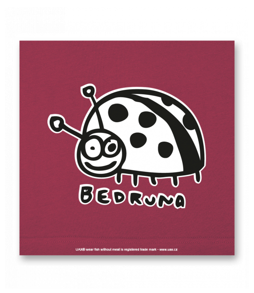 OBRAZ DO INTERIÉRU 110x110cm