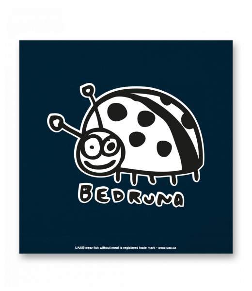 OBRAZ DO INTERIÉRU 110x110cm