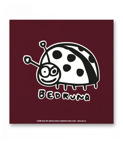 OBRAZ DO INTERIÉRU 110x110cm