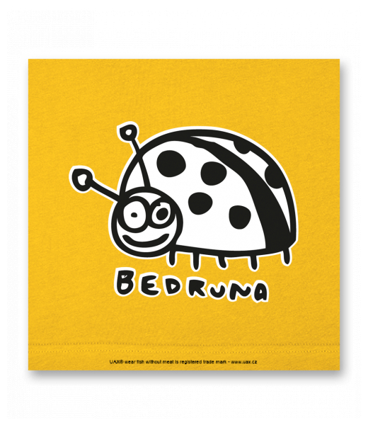 OBRAZ DO INTERIÉRU 110x110cm