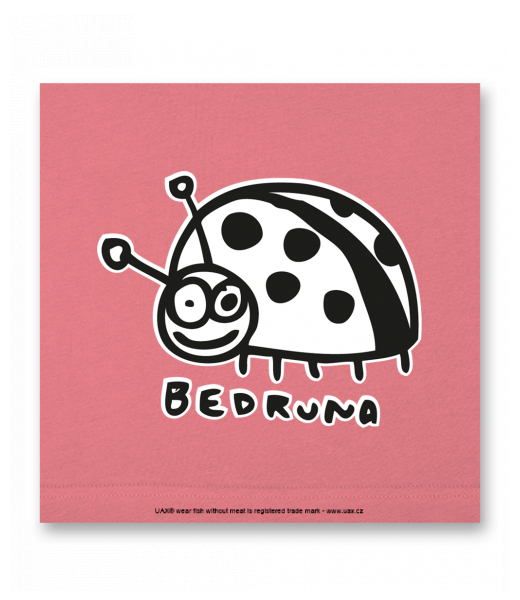 OBRAZ DO INTERIÉRU 110x110cm