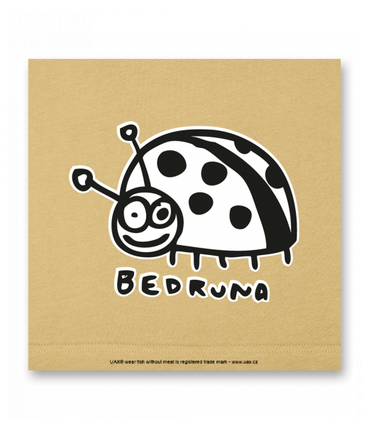 OBRAZ DO INTERIÉRU 110x110cm