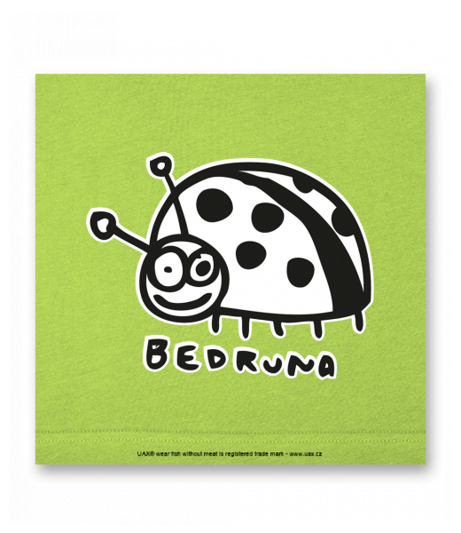 OBRAZ DO INTERIÉRU 110x110cm