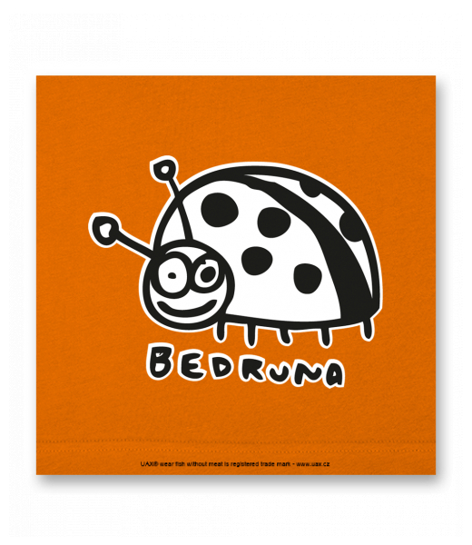 OBRAZ DO INTERIÉRU 110x110cm