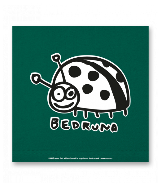 OBRAZ DO INTERIÉRU 110x110cm