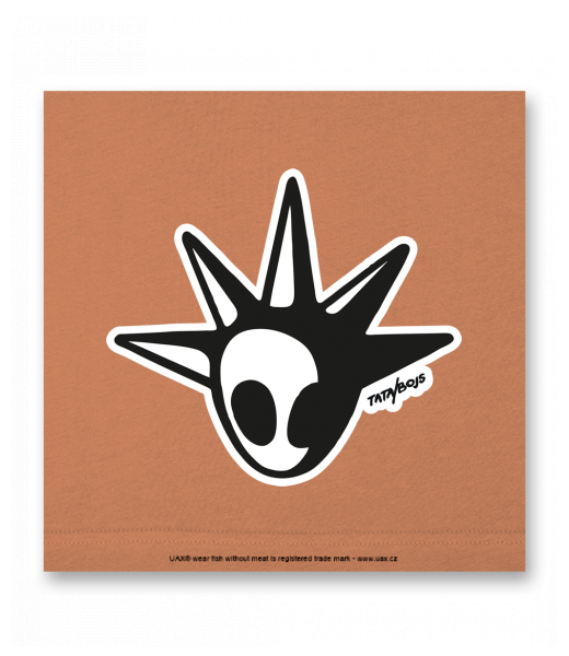 OBRAZ DO INTERIÉRU 110x110cm