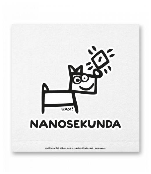 OBRAZ DO INTERIÉRU 110x110cm