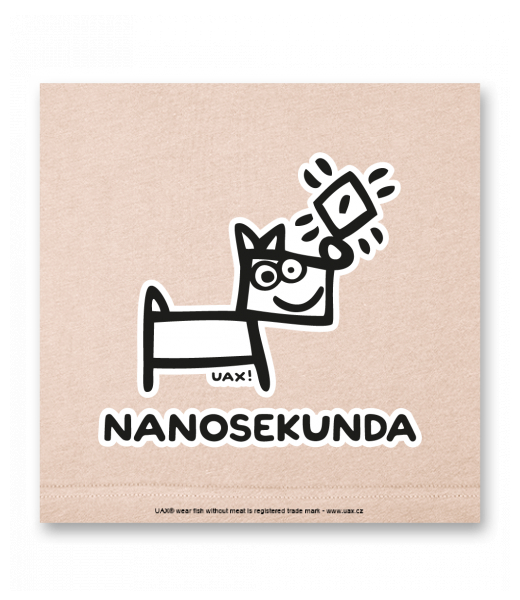 OBRAZ DO INTERIÉRU 110x110cm