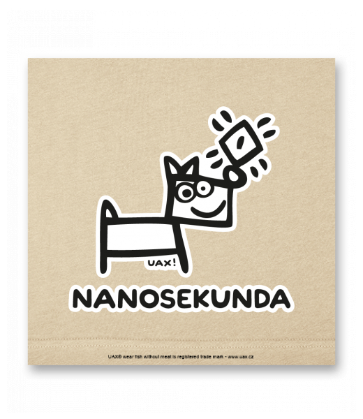 OBRAZ DO INTERIÉRU 110x110cm