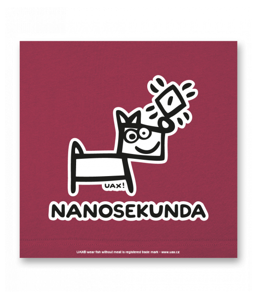 OBRAZ DO INTERIÉRU 110x110cm