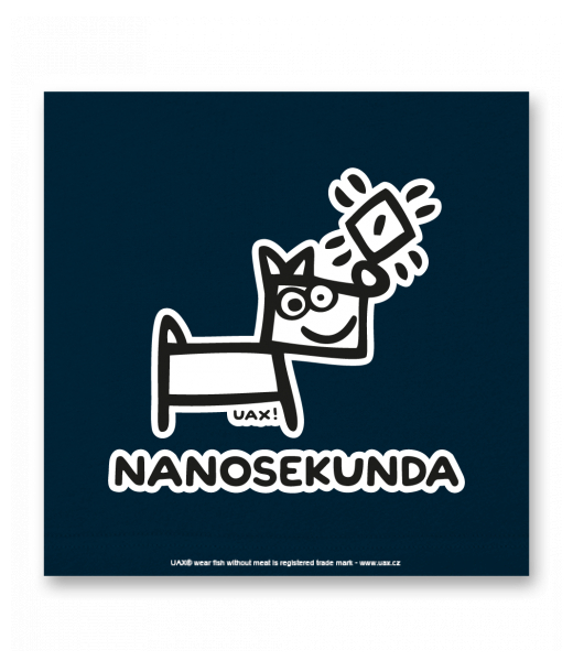 OBRAZ DO INTERIÉRU 110x110cm