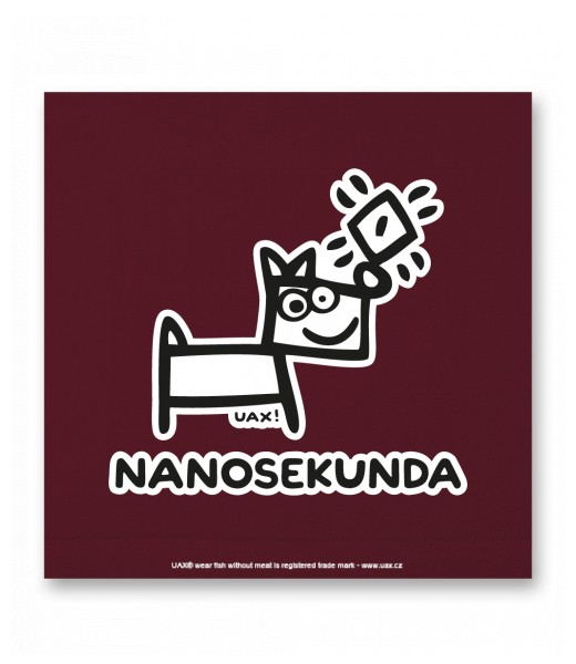 OBRAZ DO INTERIÉRU 110x110cm