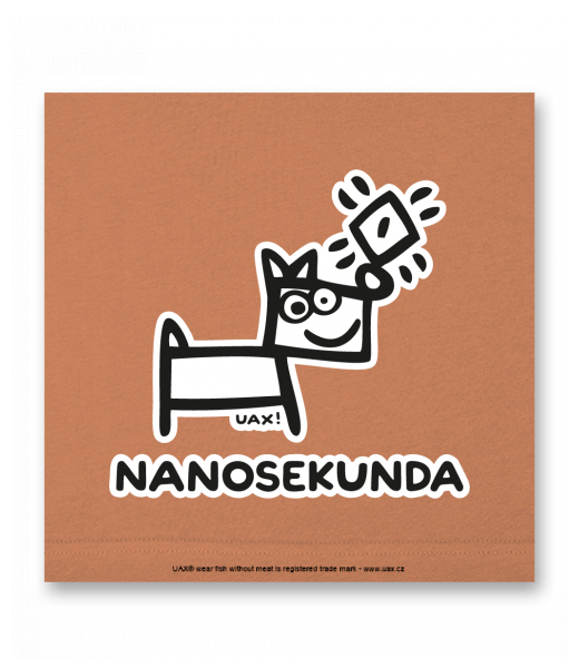 OBRAZ DO INTERIÉRU 110x110cm