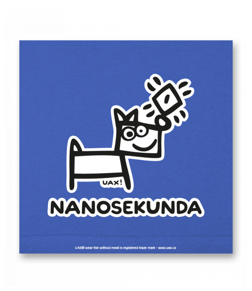 OBRAZ DO INTERIÉRU 110x110cm