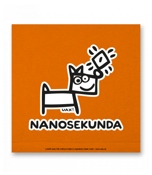 OBRAZ DO INTERIÉRU 110x110cm