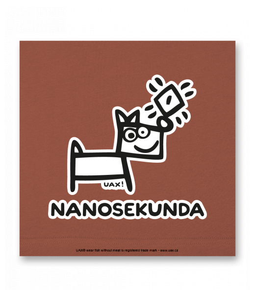 OBRAZ DO INTERIÉRU 110x110cm