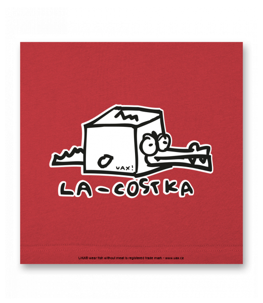 OBRAZ DO INTERIÉRU 110x110cm