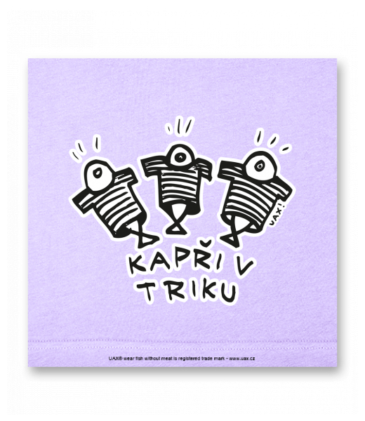 OBRAZ DO INTERIÉRU 110x110cm