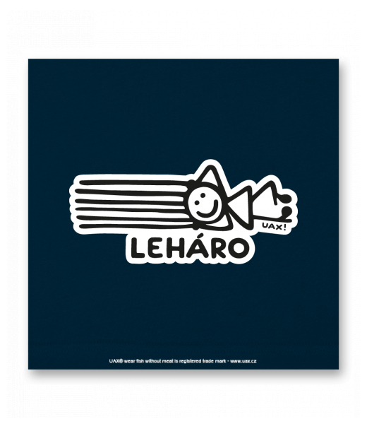 OBRAZ DO INTERIÉRU 110x110cm