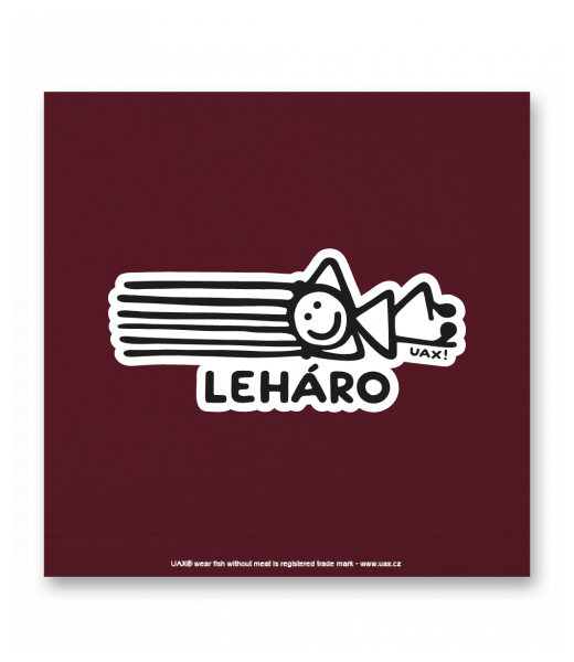 OBRAZ DO INTERIÉRU 110x110cm