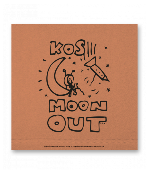 OBRAZ DO INTERIÉRU 110x110cm