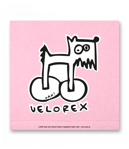 OBRAZ DO INTERIÉRU 110x110cm