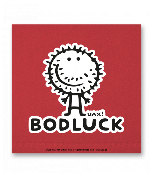 OBRAZ DO INTERIÉRU 110x110cm