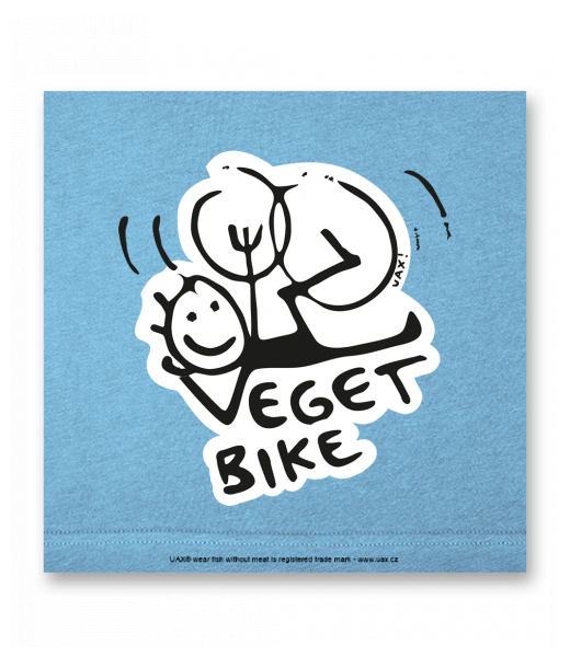 OBRAZ DO INTERIÉRU 110x110cm